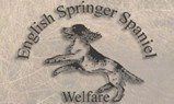 English Springer Spaniel Welfare